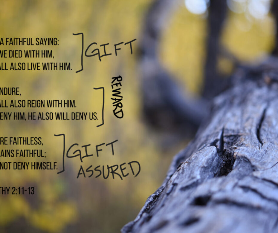 the-gift-and-the-reward