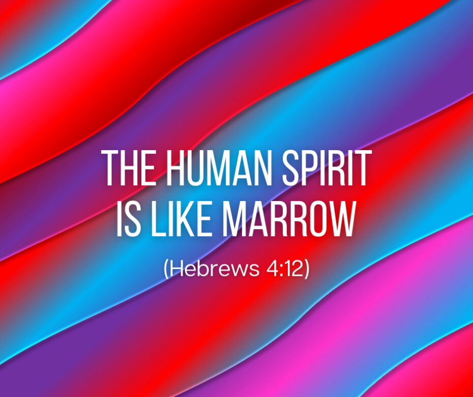 The Human Spirit Is Like Marrow