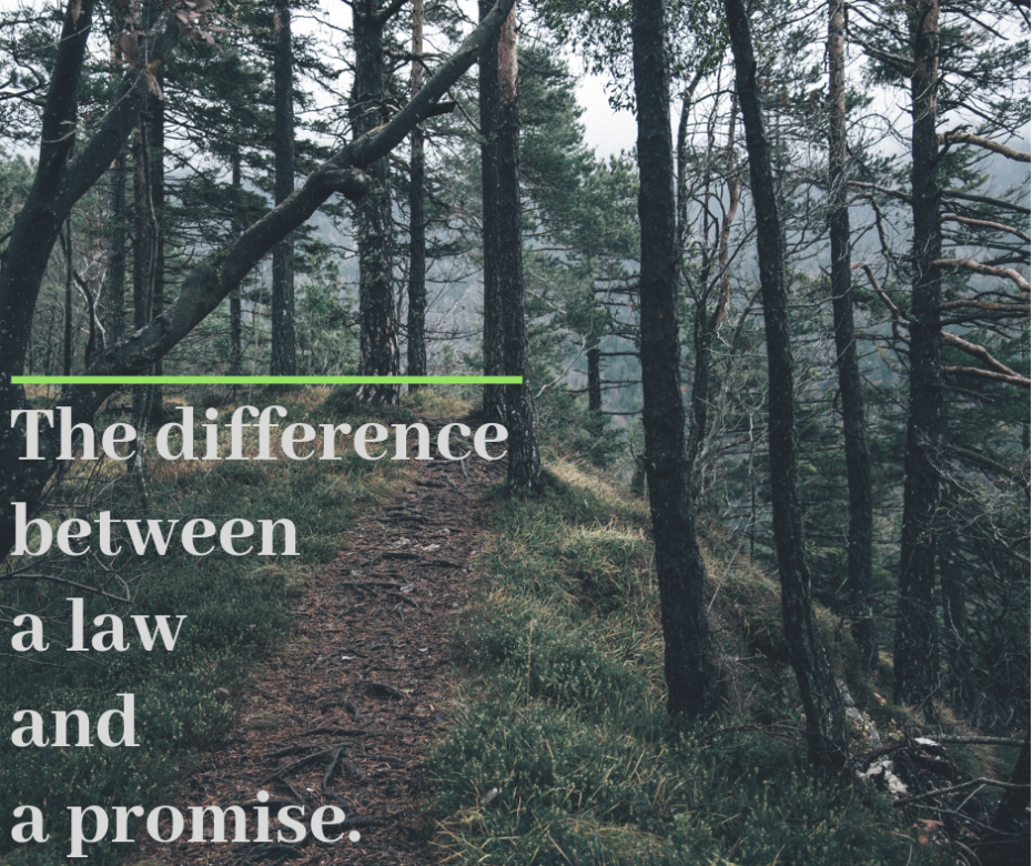 The difference between a law and a promise