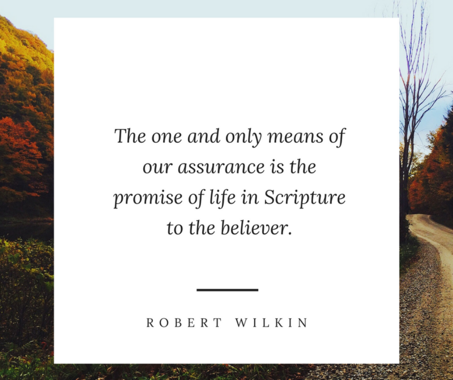The one and only means of our assurance is the promise of life in Scripture to the believer.