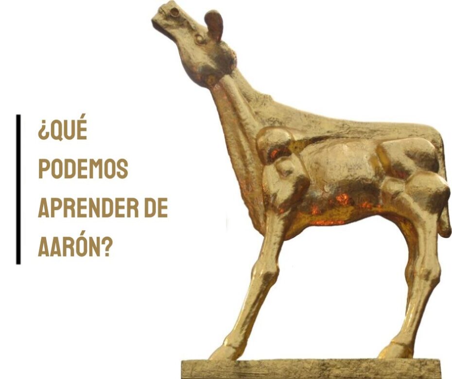 Tradición y presión de grupo