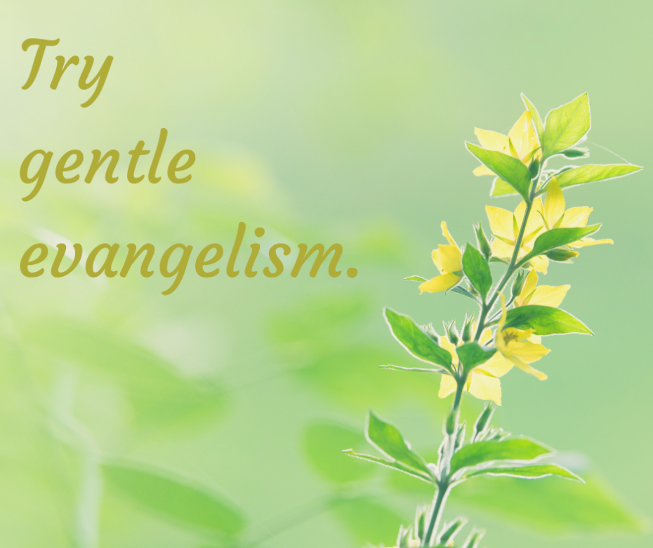 Try gentle evangelism.