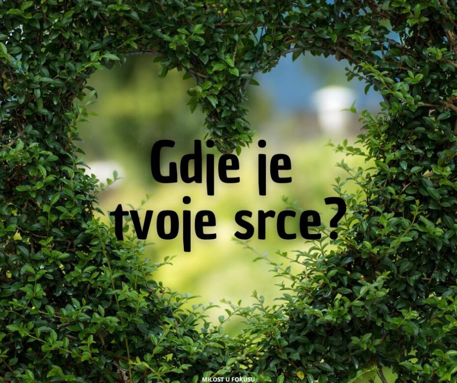 Učeništvo i podijeljena odanost