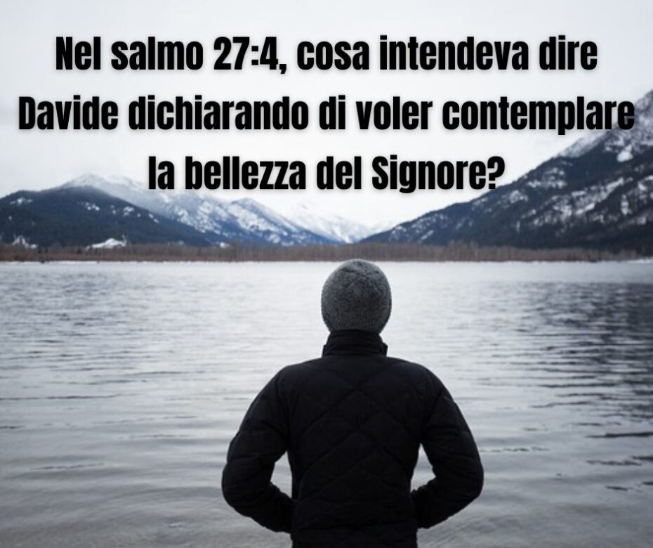 Ultimamente, avete contemplato la bellezza del Signore?