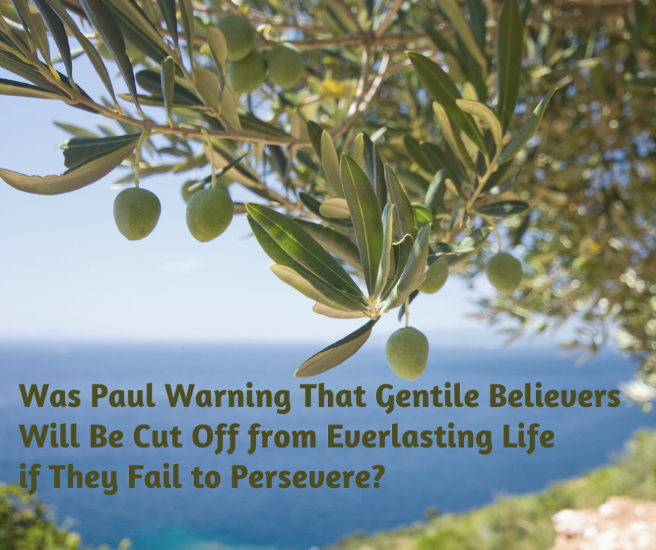 Was Paul Warning That Gentile Believers Will Be Cut Off from Everlasting Life if They Fail to Persevere_