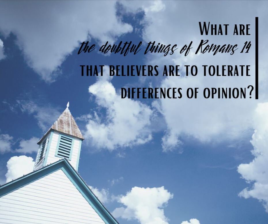 What are the doubtful things of Romans 14 that believers are to tolerate differences of opinion_