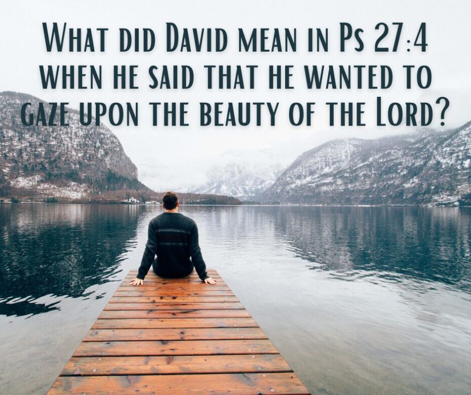 What did David mean in Ps 274 when he said that he wanted to gaze upon the beauty of the Lord