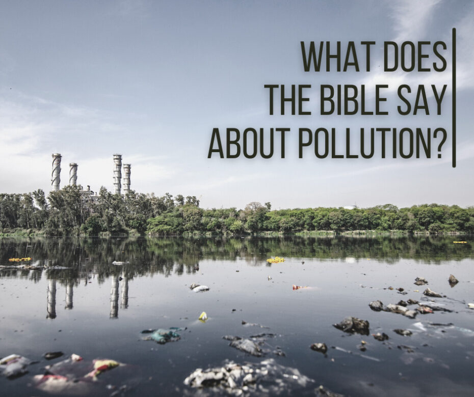 What does the Bible say about pollution
