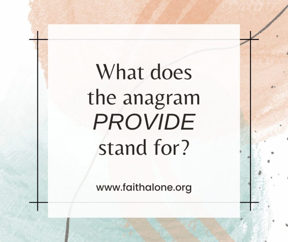 What does the anagram PROVIDE stand for