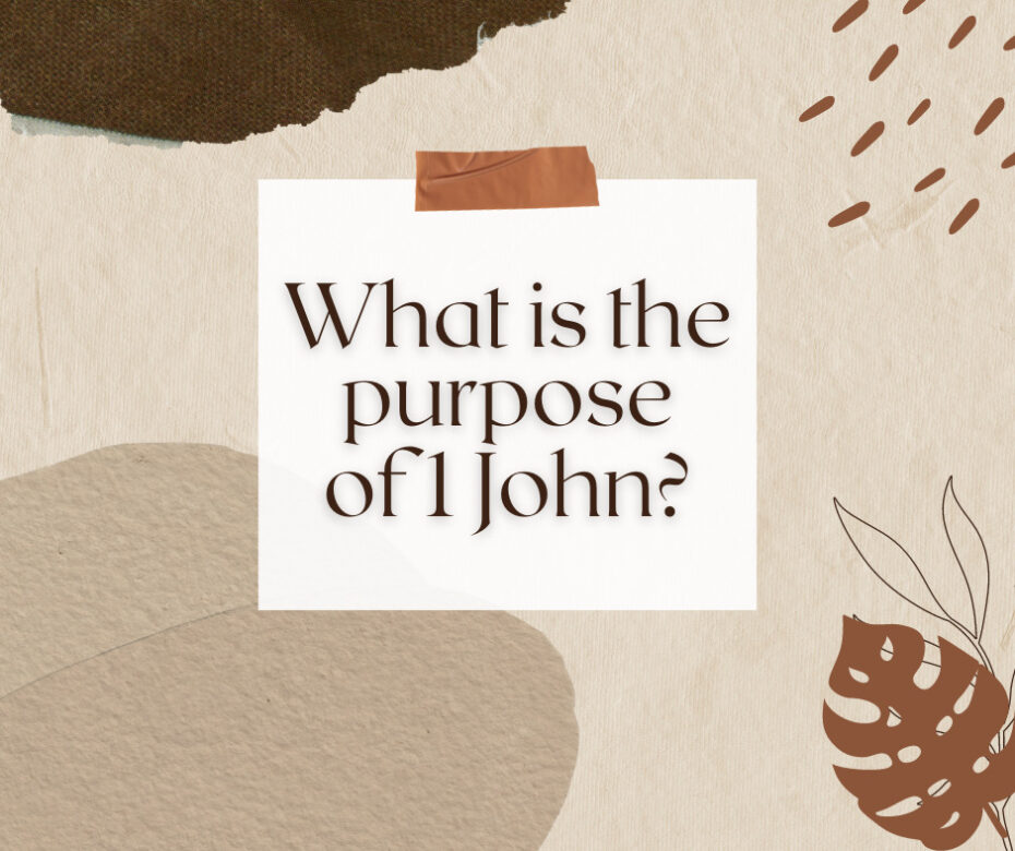 What is the purpose of 1 John