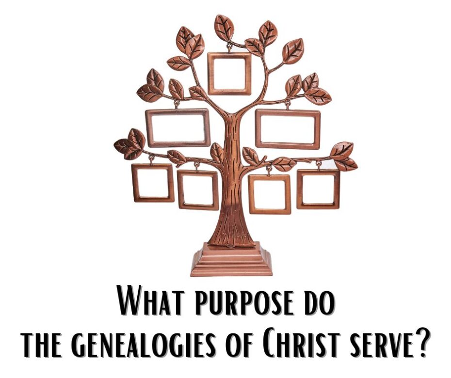 What purpose do the genealogies of Christ serve