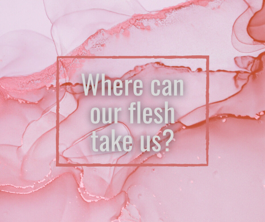 Where can our flesh take us (1)