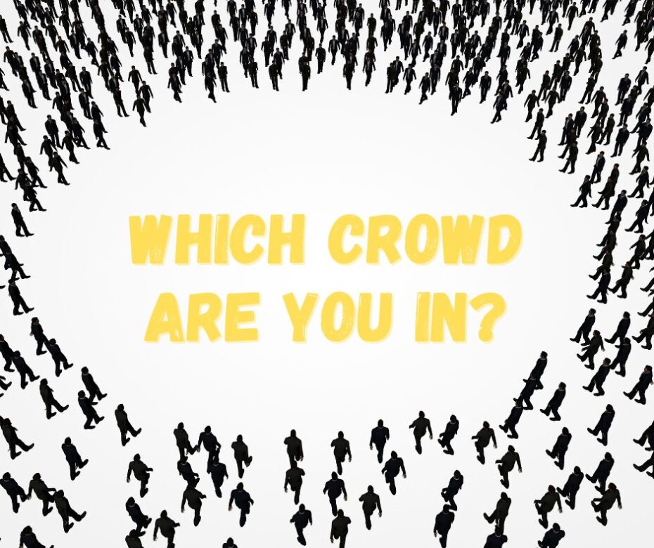 Which crowd are you in