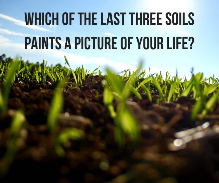 Which of the last three soils paints a picture of your life_