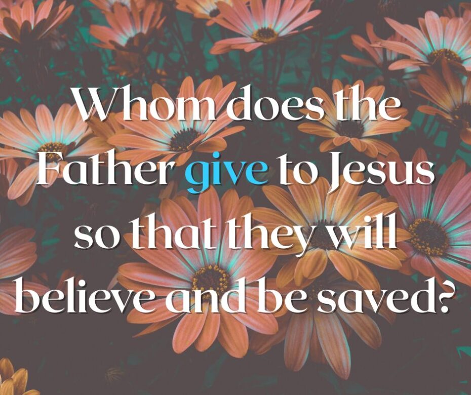Whom does the Father give to Jesus so that they will believe and be saved