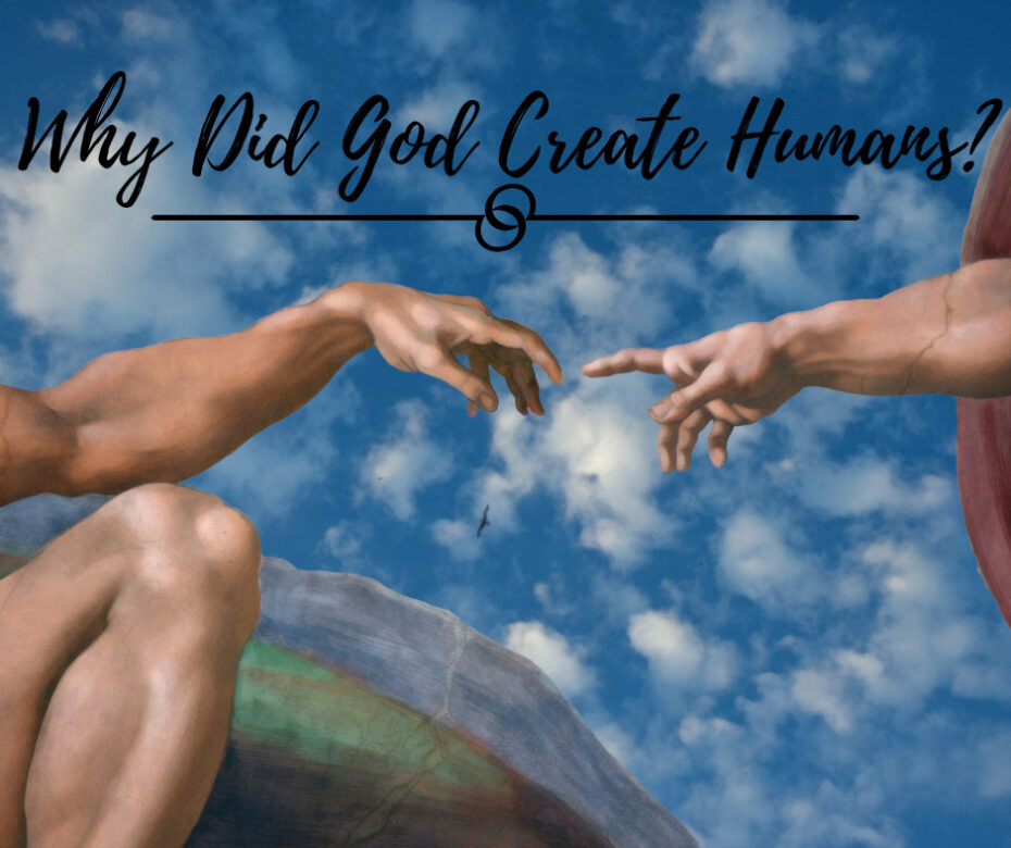 Why Did God create humans_