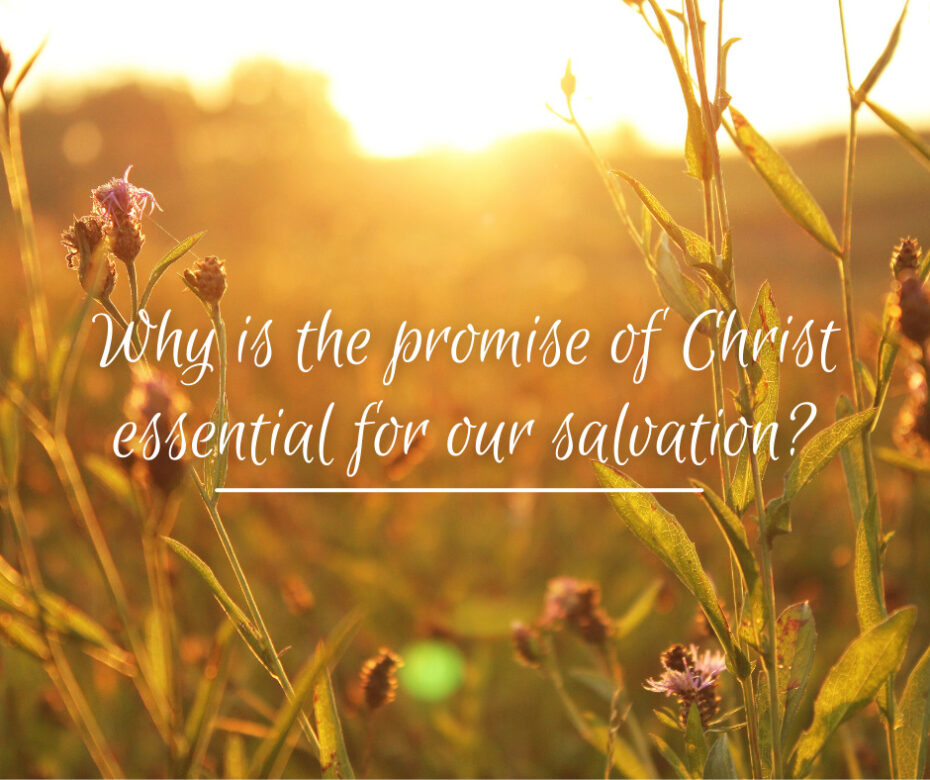 Why is the promise of Christ essential for our salvation
