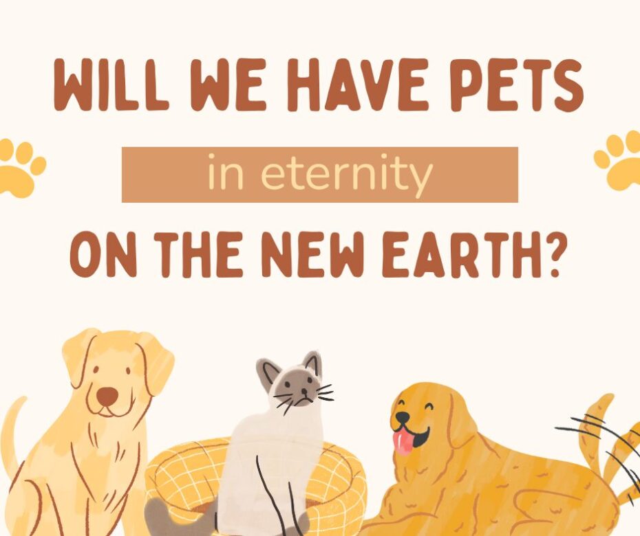 Will we have pets (1)