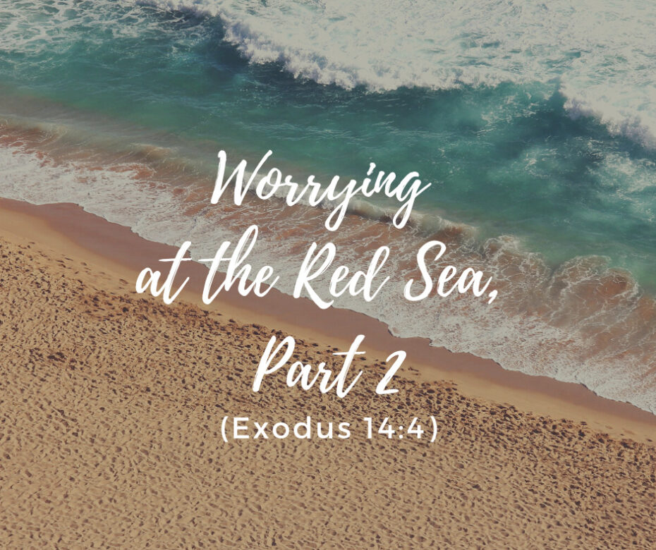 Worrying at the Red Sea, Part 2