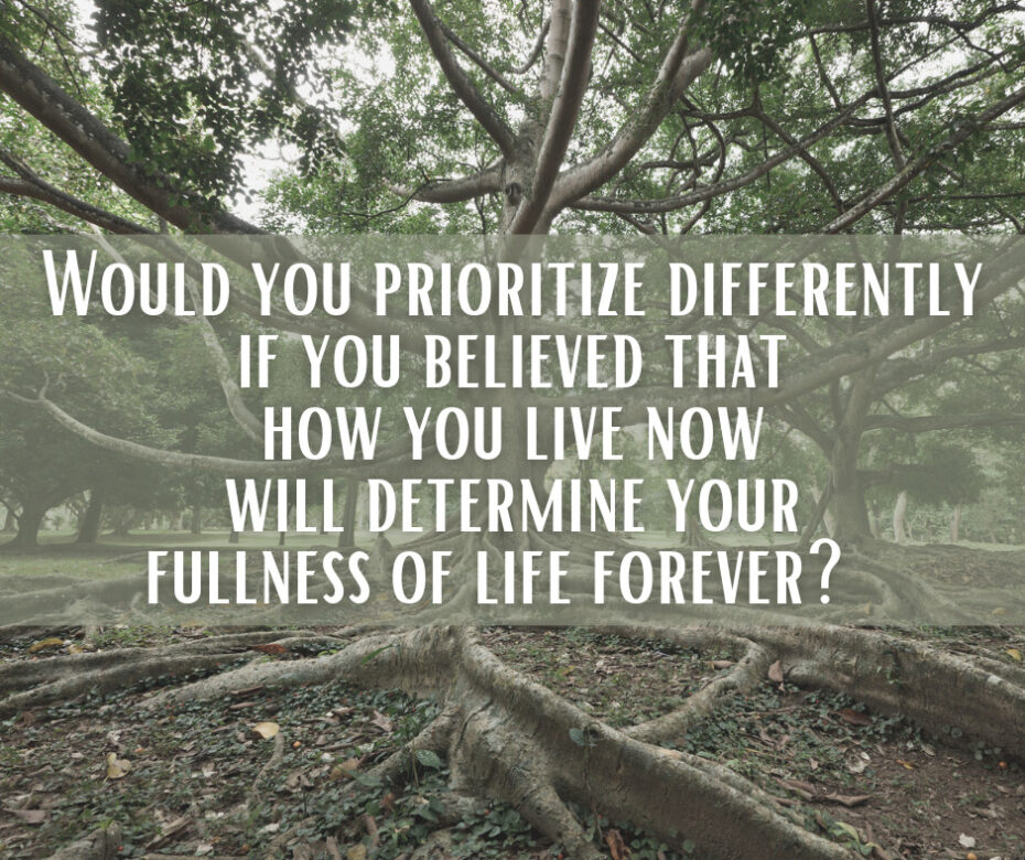 Would you prioritize differently if you believed that how you live now will determine your fullness of life forever