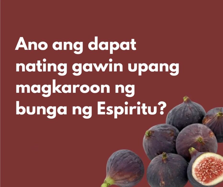ano ang bunga ng espiritu