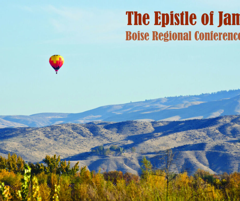 Hot Air Balloon Flying Over The Foothills
