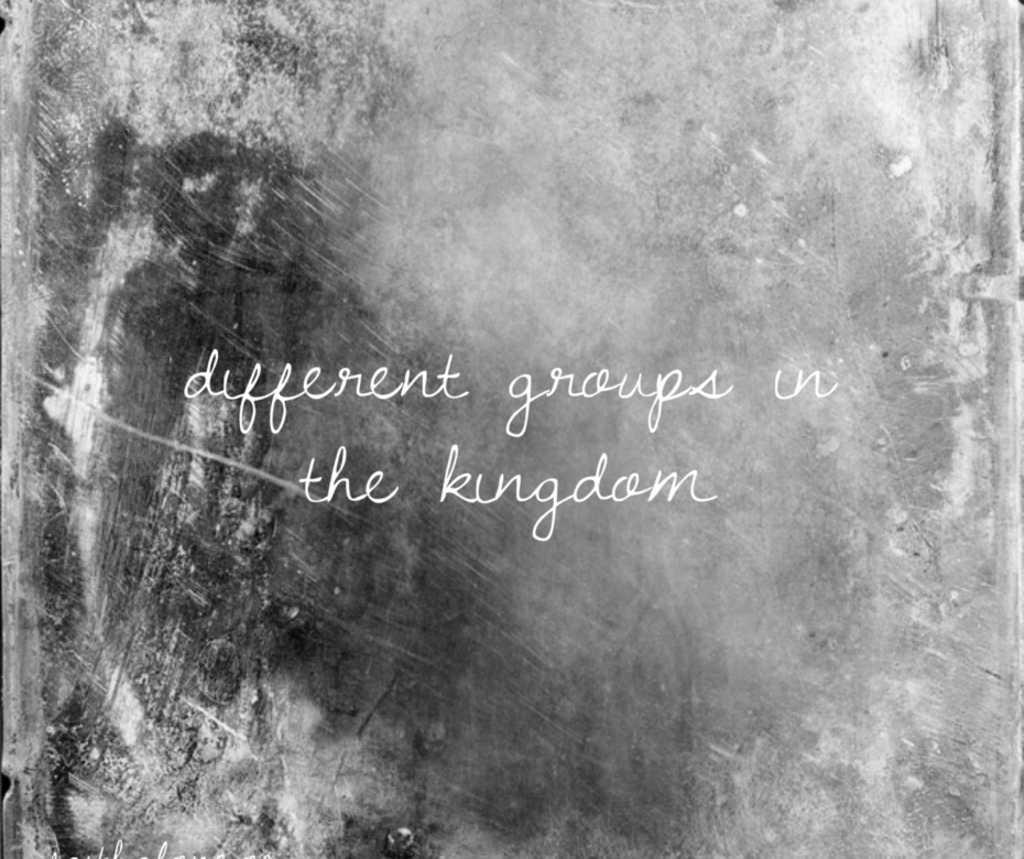 different-groups-in-the-kingdom
