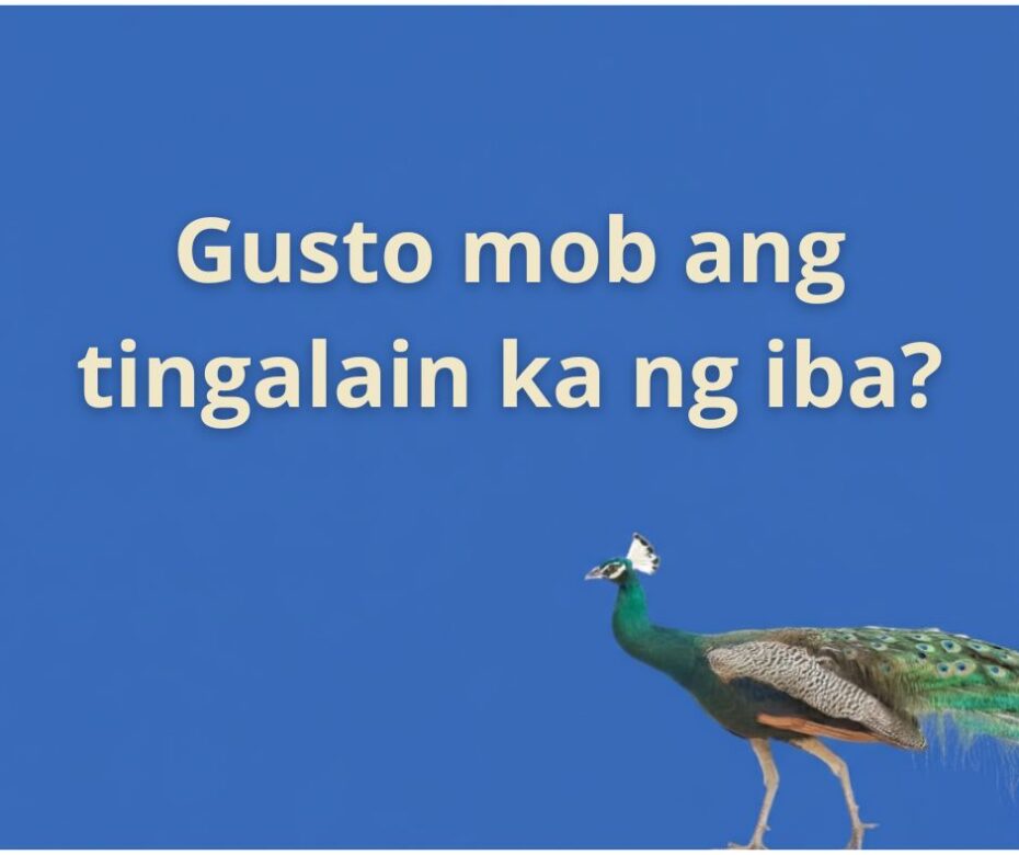 huwag subuking pahangain ang ibang mga mananampalataya (levitico 10