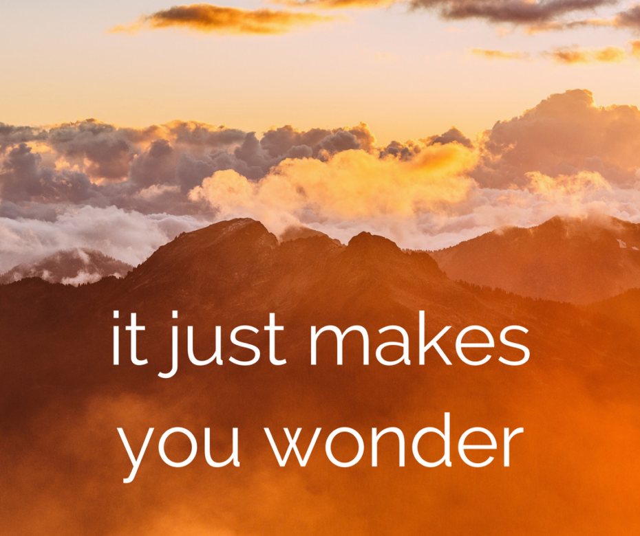 it just makes you wonder