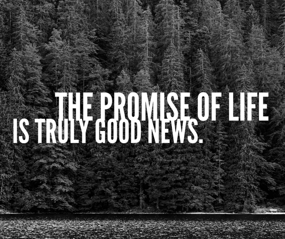 promise of life_sm
