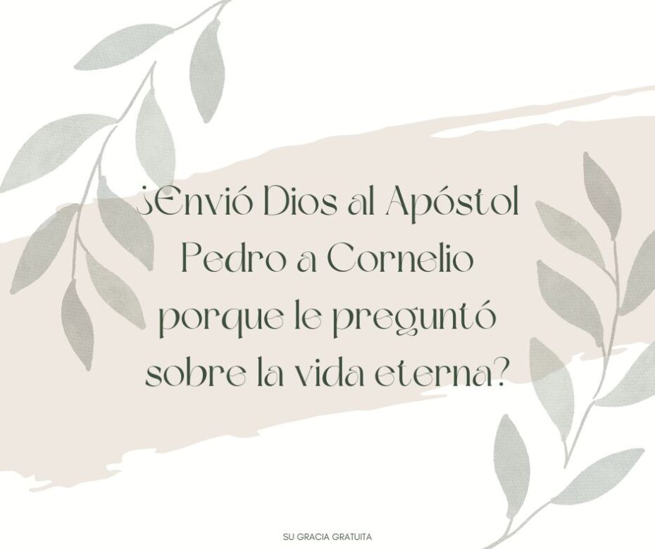 xr:d:DAGCC-C1Jb8:12,j:248122533528306819,t:24041117