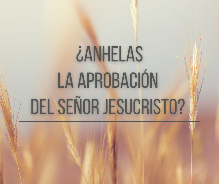 ¿Anhelas la aprobación del Señor Jesucristo