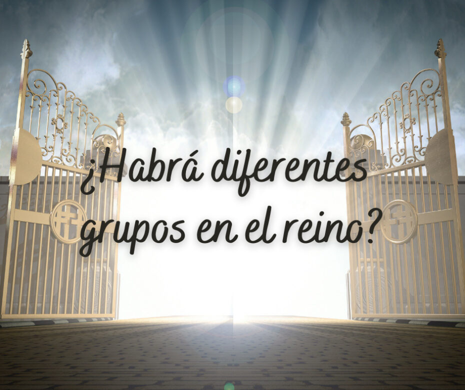 ¿Habrá diferentes grupos en el reino_