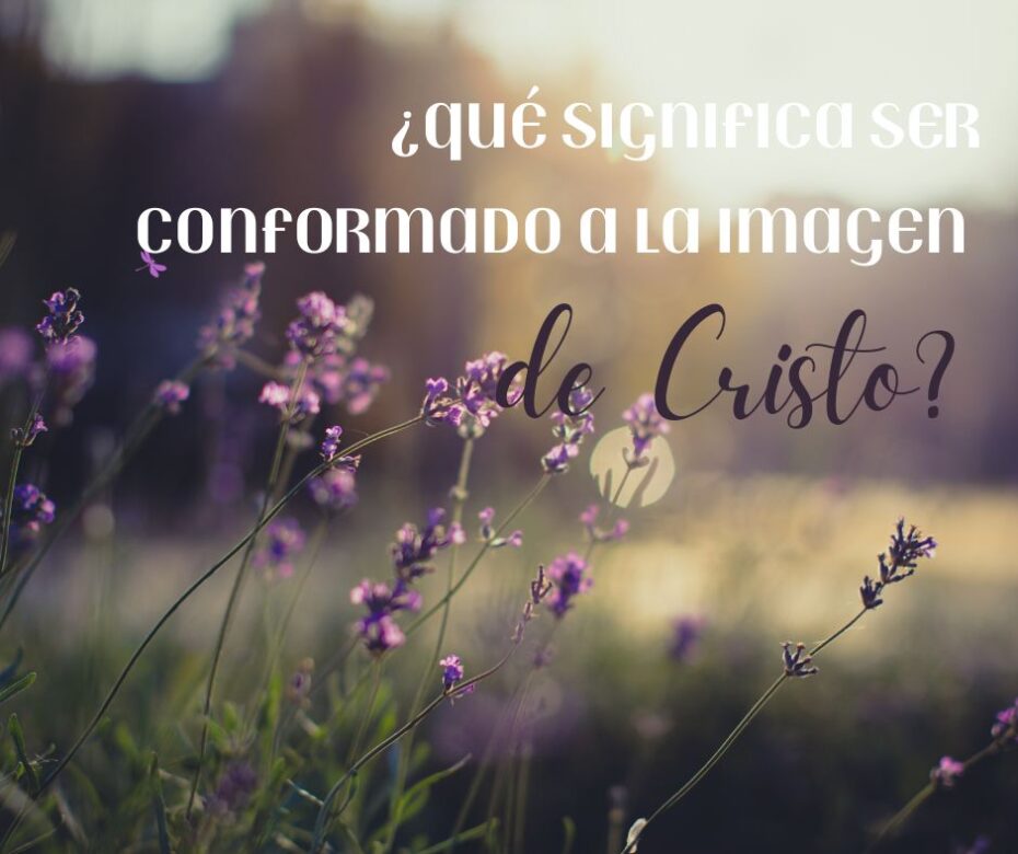 ¿Habrá mujeres en el cielo?