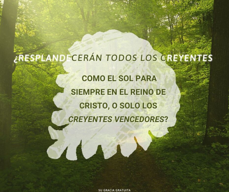 ¿Quiénes son los justos en la parábola del trigo y la cizaña?