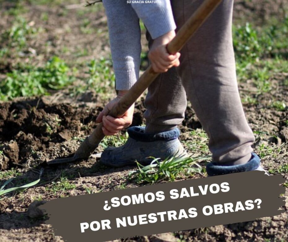 ¿Refuta Efesios 2 10 la doctrina de Una vez salvo, siempre salvo?22