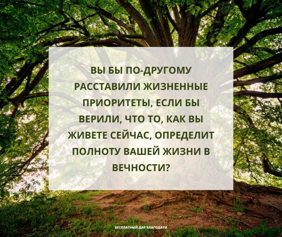 Вы бы по-другому расставили жизненные п