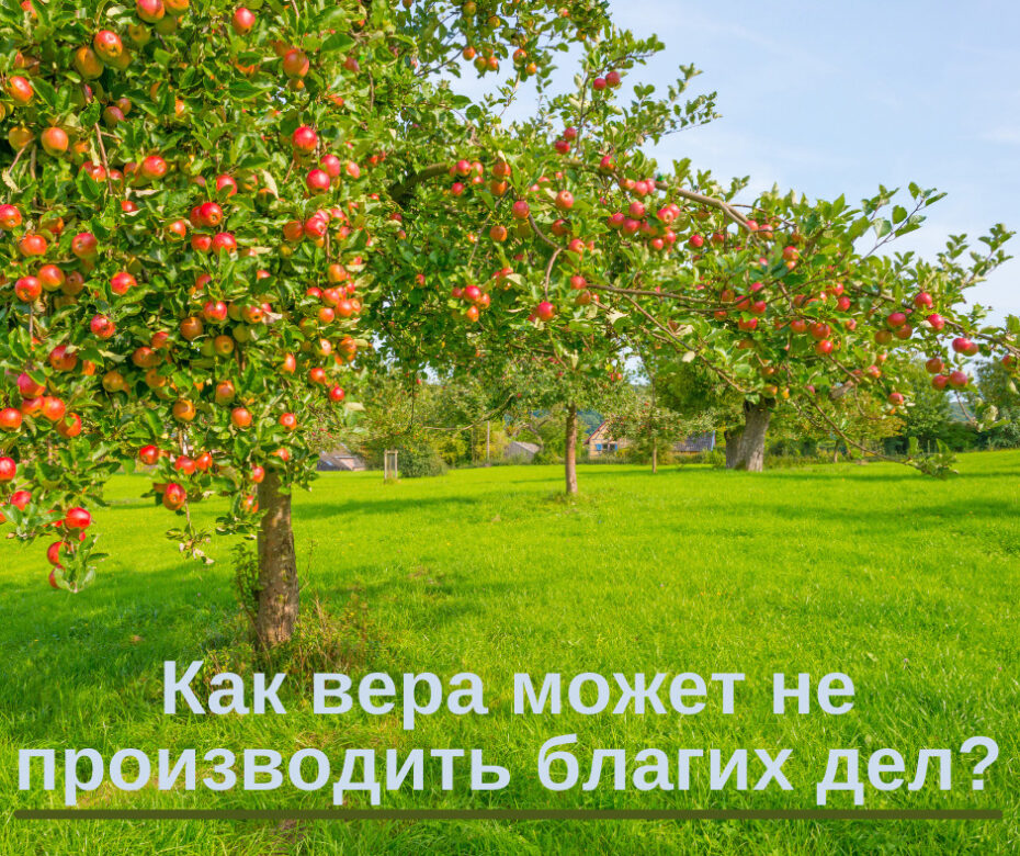Как вера может не производить благих дел
