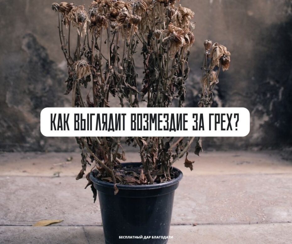 Как выглядит возмездие за грех?