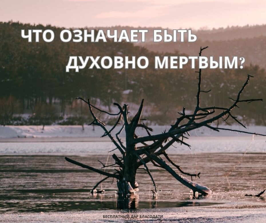 Как можно обладать свободой верить во Христа, но не иметь способности поверить в Него?