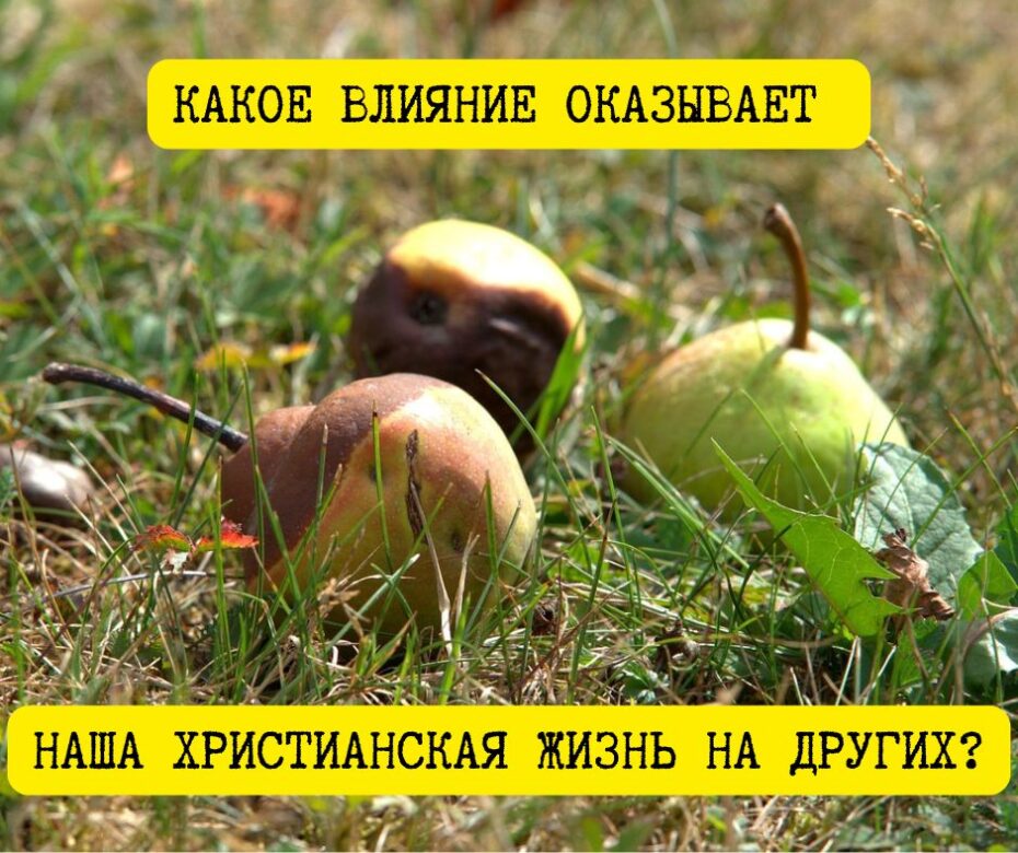 Когда праведный человек разочаровывает (2 Тим 4