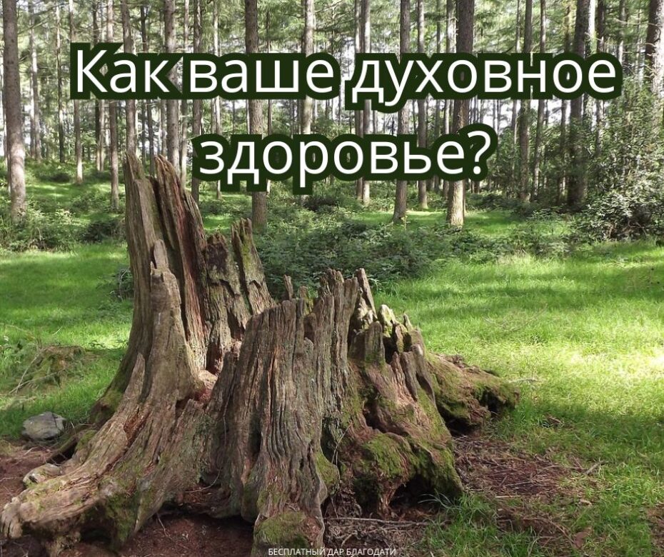 Когда прекрасное дерево падает