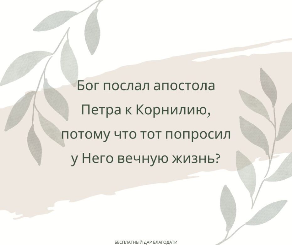 xr:d:DAGCC-C1Jb8:13,j:8620314365615637675,t:24041222