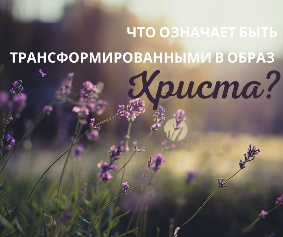 На небе будут женщины?