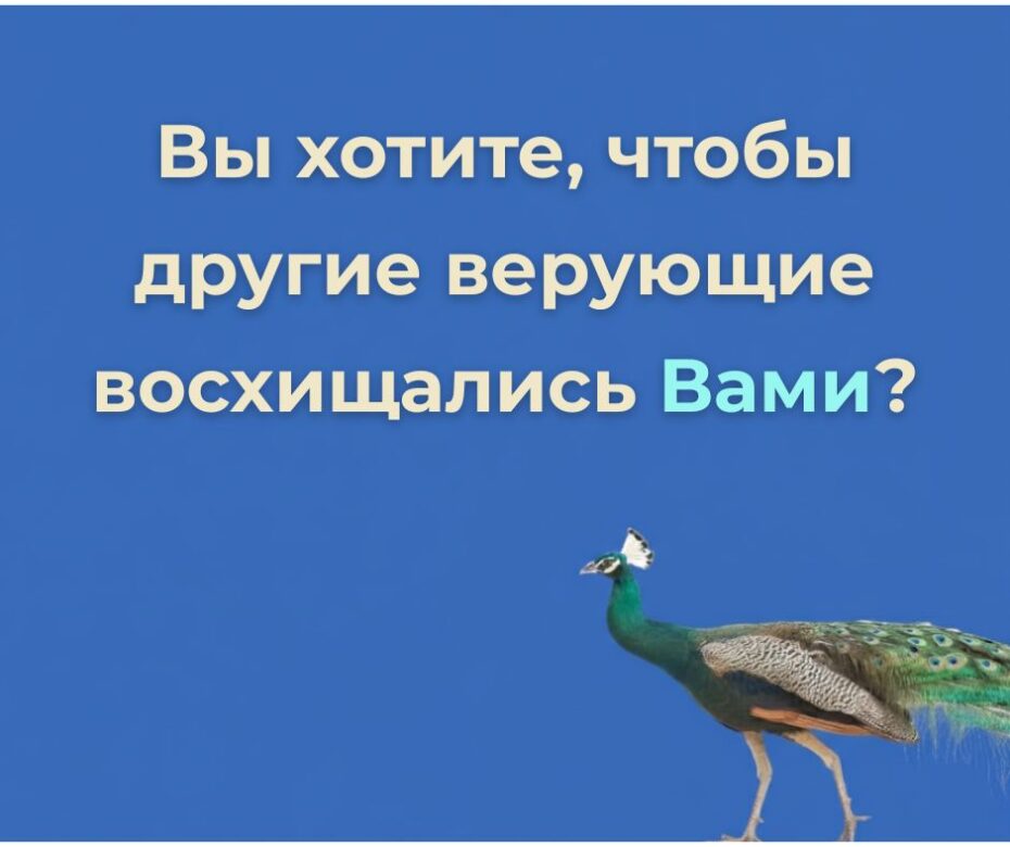 Не пытайтесь произвести впечатление на других верующих (Лев 10