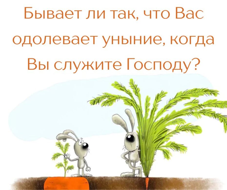Не судите об урожае по его росткам