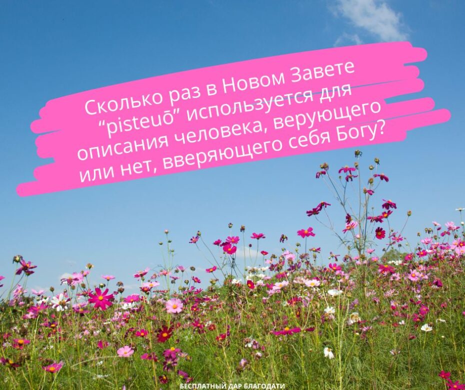 Разве Господь Иисус не поверил в новообращённых в Ин 2.2