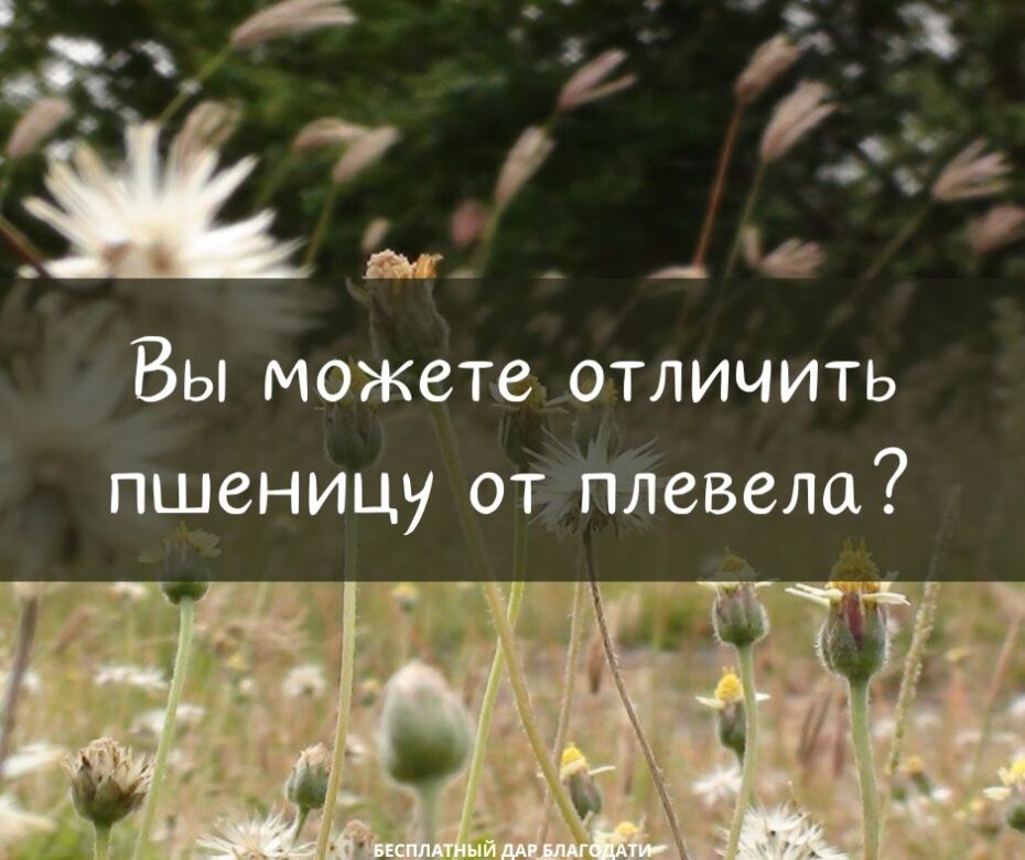 xr:d:DAGB8xlvjsg:10,j:5642308900840584621,t:24041021