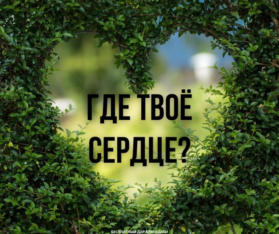 Ученичество и раздвоенная преданность