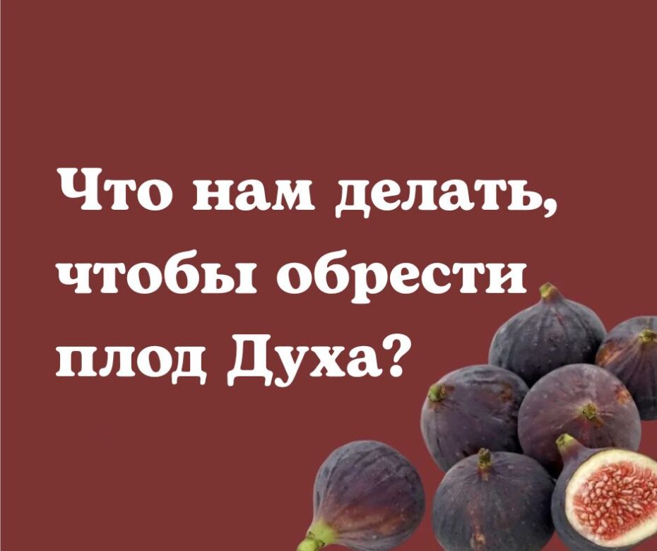 Что такое плод Духа?